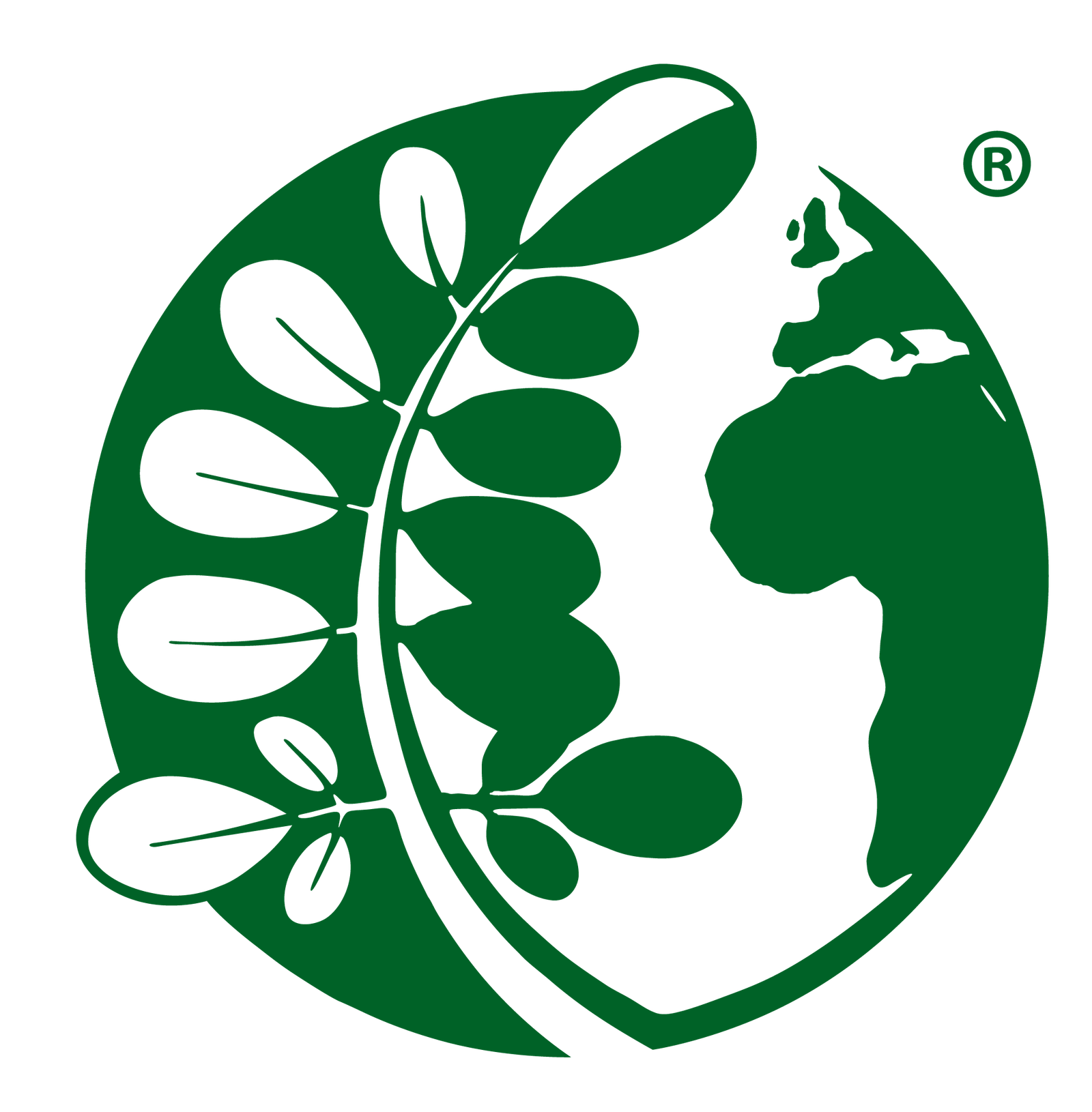 Accountant and Finance officer-Based in Chiang Mai (Open for Thai citizens only.)